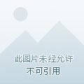 农门团宠：家有萌宝小锦鲤